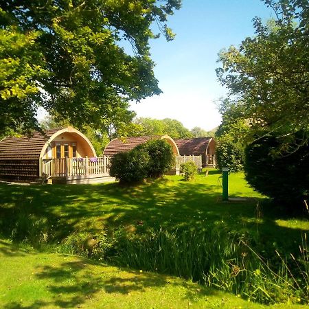 Campsie Glen Holiday Park Fintry Экстерьер фото
