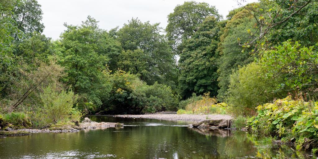 Campsie Glen Holiday Park Fintry Экстерьер фото